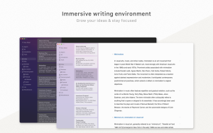 How to Write Outline Notes- Effie